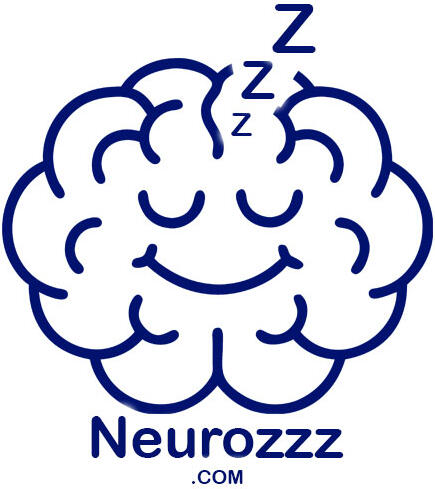 Neurozzz Logo